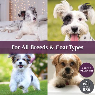 Show full view: Ultra Collection Cookie Crush Oatmeal Dog Shampoo, 16-fl oz bottle slide 5 of 6