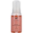 Show in main carousel: Ultra Collection Mango & Pomegranate Waterless Foaming Dog Shampoo, 8-fl oz bottle slide 1 of 6