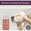 Show in main carousel: Ultra Collection Mango & Pomegranate Waterless Foaming Dog Shampoo, 8-fl oz bottle slide 2 of 6