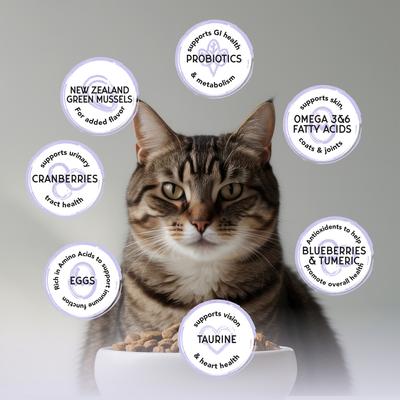 Show full view: Blackwood Bounty Grain-Free Cod & Carp Recipe Dry Cat Food, 2-lb bag slide 6 of 9