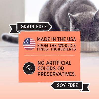 Show full view: Blackwood Bounty Grain-Free Salmon & Rainbow Trout Recipe Dry Cat Food, 2-lb bag slide 3 of 9