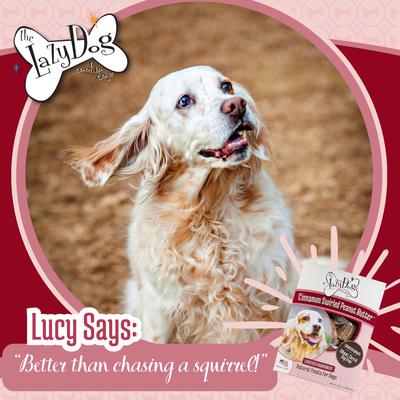 Show full view: The Lazy Dog Cookie Co. Limited Ingredient Cinnamon Swirled Peanut Butter Crunchy Baked Dog Treats, 14-oz box slide 8 of 9