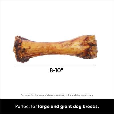Show full view: Bones & Chews Made in USA Beef Foreshank Bone Dog Treat, 2 count slide 3 of 9