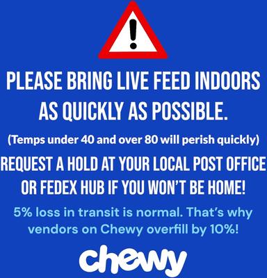 Show full view: SURMEN LEGACY Waxworms Live Feed Reptile Food, 250 count slide 2 of 4