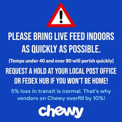 Show full view: Symton Medium Live Black Soldier Fly Larvae Lizard Food, 2,000 count slide 2 of 8