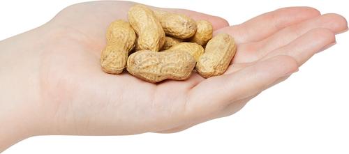 Show full view: Valley Splendor Inshell Peanuts Seeds Wild Bird Food, 3-lb bag slide 2 of 2