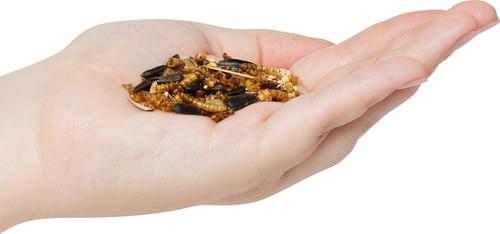 Show full view: Valley Splendor Mealworm Raisin & Nut Seeds Wild Bird Food, 5-lb bag slide 2 of 2