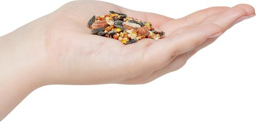 Show full view: Valley Splendor Cardinal Blend Seeds Wild Bird Food, 7-lb bag slide 2 of 2