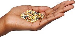 Valley Splendor Gourmet Blend Seeds Wild Bird Food, 40-lb bag slide 2 of 2