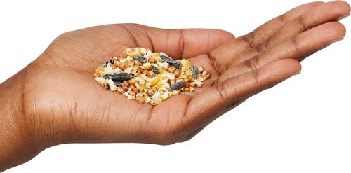 Show full view: Valley Splendor Gourmet Blend Seeds Wild Bird Food, 20-lb bag slide 2 of 3