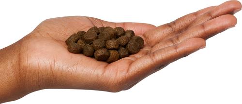 Show full view: Next Level Super Premium Pet Food Salmon River Grain-Free Canine Adult Sea Food & Fish Dry Dog Food, 40-lb bag slide 4 of 11