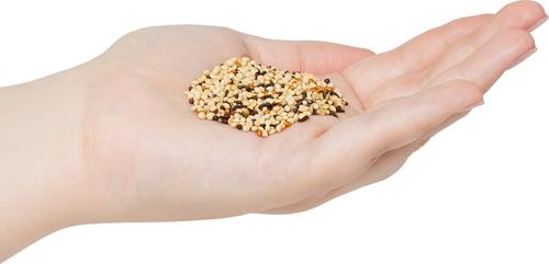 Show full view: Valley Splendor Finch Mix Seeds Wild Bird Food, 4-lb bag slide 2 of 3