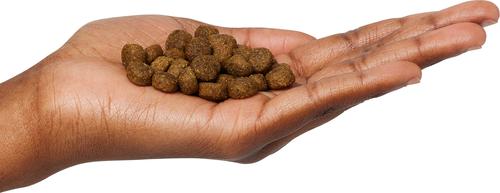 Show full view: Next Level Super Premium Pet Food Ocean Catch Adult Gluten-Free Sea Food & Fish Dry Dog Food, 15-lb bag slide 4 of 10