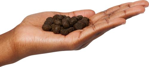 Show full view: Next Level Super Premium Pet Food Hi-Pro Professional Adult Gluten-Free Beef Dry Dog Food, 40-lb bag slide 4 of 11