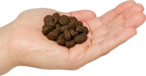 Show full view: Next Level Super Premium Pet Food Hero's Salute Active Adult Gluten-Free Sea Food & Fish Dry Dog Food, 40-lb bag slide 4 of 10