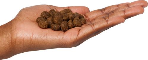 Show full view: Next Level Super Premium Pet Food Normally Active Adult Gluten-Free Beef Dry Dog Food, 40-lb bag slide 4 of 11