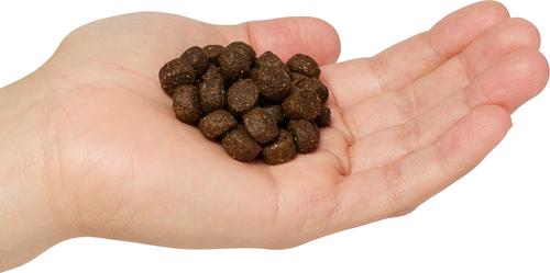 Show full view: Next Level Super Premium Pet Food Hi-Energy Adult Gluten-Free Beef Dry Dog Food, 40-lb bag slide 4 of 11