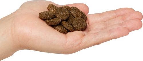 Show full view: Next Level Super Premium Pet Food Active Adult Gluten-Free Chicken Dry Dog Food, 50-lb bag slide 4 of 11