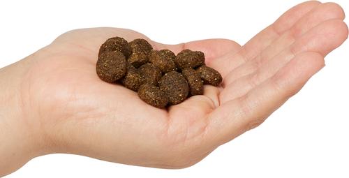 Show full view: Next Level Super Premium Pet Food Puppy Growth Gluten-Free Chicken Dry Dog Food, 50-lb bag slide 4 of 11