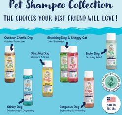 Bobbi Panter Signature Stinky Dog Shampoo, 13-fl oz bottle slide 2 of 7