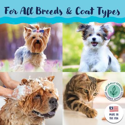 Show full view: Bobbi Panter Signature Stinky Dog Spray, 8-fl oz bottle slide 7 of 8