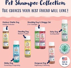 Bobbi Panter Signature Gorgeous Dog Shampoo, 13-fl oz bottle slide 2 of 7