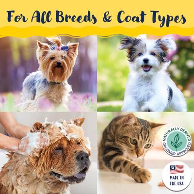 Show full view: Bobbi Panter Signature Dazzling Dog Shampoo, 13-fl oz bottle slide 7 of 7