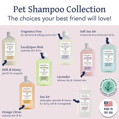 Show full view: Bobbi Panter Botanical Nourishing Dog Conditioner, 14-fl oz bottle slide 6 of 9