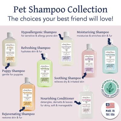 Show full view: Bobbi Panter Botanical Nourishing Dog Conditioner, 14-fl oz bottle slide 7 of 9