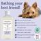 Show in main carousel: Bobbi Panter Botanical Hypo-Allergenic Dog Shampoo, 14-fl oz bottle slide 3 of 8