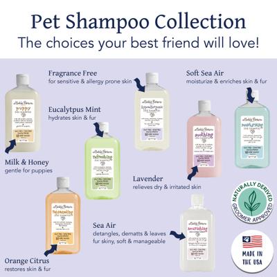 Show full view: Bobbi Panter Botanical Hypo-Allergenic Dog Shampoo, 14-fl oz bottle slide 5 of 8