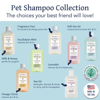 Show full view: Bobbi Panter Botanical Moisturizing Dog Shampoo, 14-fl oz bottle, 1 count slide 5 of 8