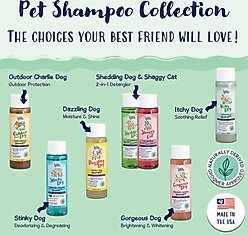 Bobbi Panter Signature Itchy Dog Shampoo, 13-fl oz bottle slide 2 of 7