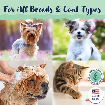 Show full view: Bobbi Panter Signature Itchy Dog Shampoo, 13-fl oz bottle slide 8 of 8