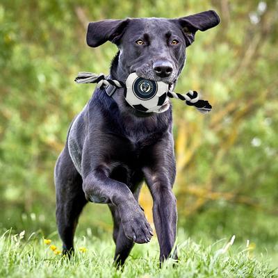 Show full view: Pets First Philadelphia Union Soccer Ball Squeaky Rope Dog Toy slide 5 of 5