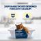 Show in main carousel: Catfidence Disposable Cat Litter Box, 2 count slide 5 of 9