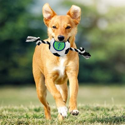 Show full view: Pets First Seattle Sounders FC Soccer Ball Squeaky Rope Dog Toy slide 4 of 5