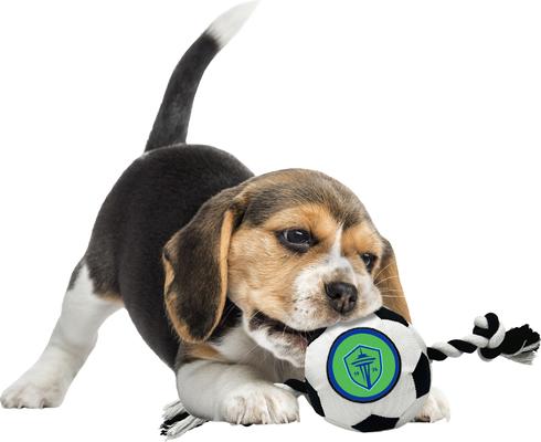 Show full view: Pets First Seattle Sounders FC Soccer Ball Squeaky Rope Dog Toy slide 3 of 5