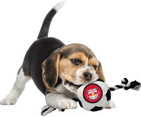 Show full view: Pets First New York Red Bulls Soccer Ball Squeaky Rope Dog Toy slide 4 of 6