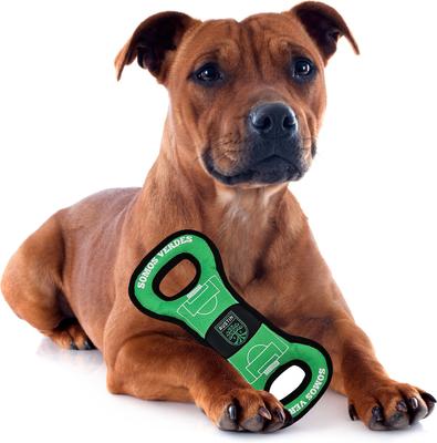 Show full view: Pets First Austin FC Soccer Field Squeaky Dog Tug Toy slide 3 of 4