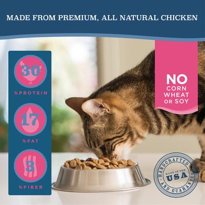 Show full view: Blackwood Chicken Meal & Rice Recipe Adult Dry Cat Food, 4-lb bag slide 3 of 10