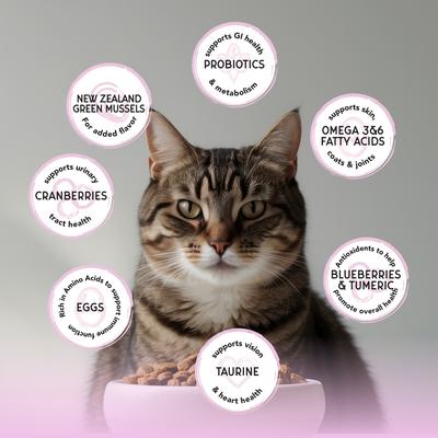 Show full view: Blackwood Bounty Grain-Free Red Meat Recipe Dry Cat Food, 4.5-lb bag slide 6 of 9