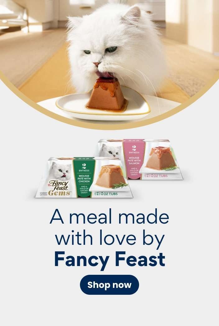 A meal made with love by Fancy Feast. Shop now.