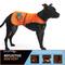 Show in main carousel: SafetyPUP XD Reflective Dog Vest, Orange, X-Large slide 10 of 12