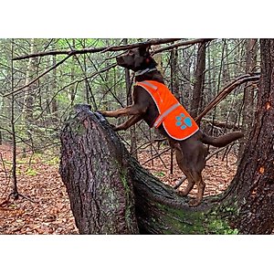 SafetyPUP XD Reflective Dog Vest, Orange, Large