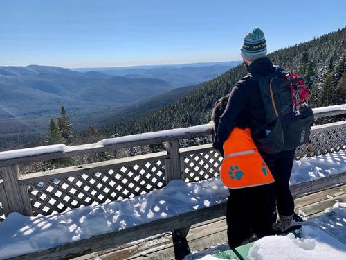 Show full view: SafetyPUP XD Reflective Dog Vest, Orange, X-Large slide 9 of 12