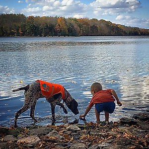 SafetyPUP XD Reflective Dog Vest, Orange, Large