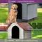 Show in main carousel: Yitahome Plastic Shelter Dog House slide 2 of 6