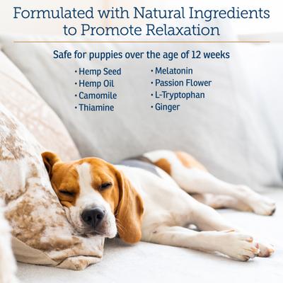 Show full view: Rx Vitamins Nutricalm Soft Chews Supplement for Dogs, 120 count slide 4 of 6