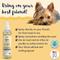 Show in main carousel: Bobbi Panter Signature Outdoor Dog Flea & Tick Spray, 8-fl oz bottle slide 3 of 6